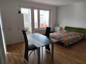 Vienna private whole apartment